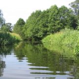 Zelena stranka: Od 42 javna vodovoda u Vojvodini ispravno samo devet 5