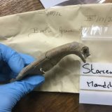 Praistorijska revolucija na Balkanu 3