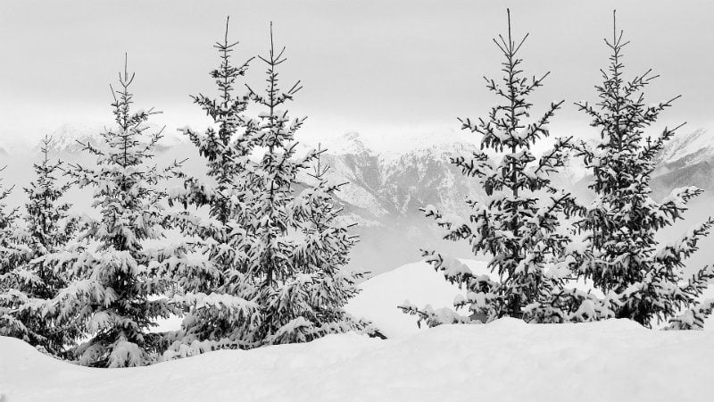 Na Kredarici u Sloveniji pao sneg 1