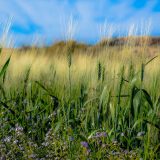 GIZ: Poljoprivrednicima besplatan softver 5