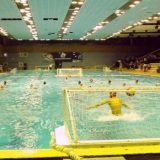 Plaćeni termini umesto vlasništva 9