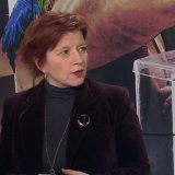 Vučković: DS treba promaja 10