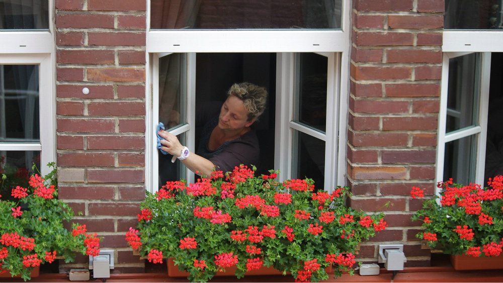 Žene brojnije u poslovima lične nege, higijene i u školama 1