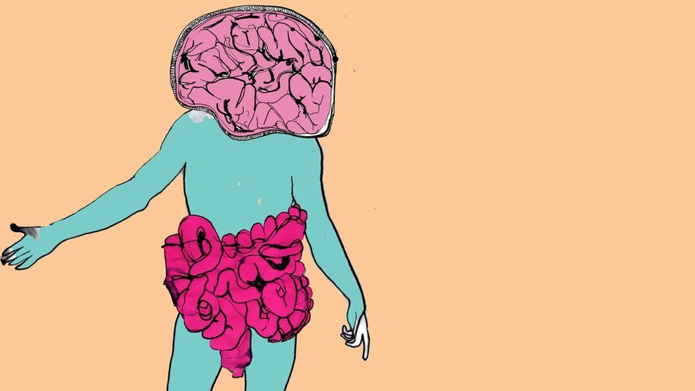 Ilustracija: mozak i creva
