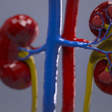 Odeljenje za hemodijalizu u Lebanu primer uspešne saradnje EU i opštine 15