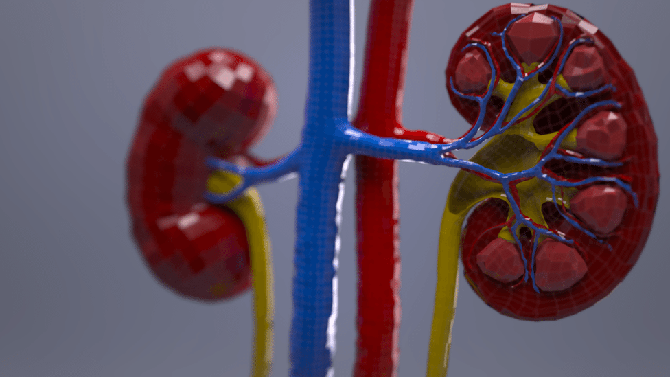 Odeljenje za hemodijalizu u Lebanu primer uspešne saradnje EU i opštine 1