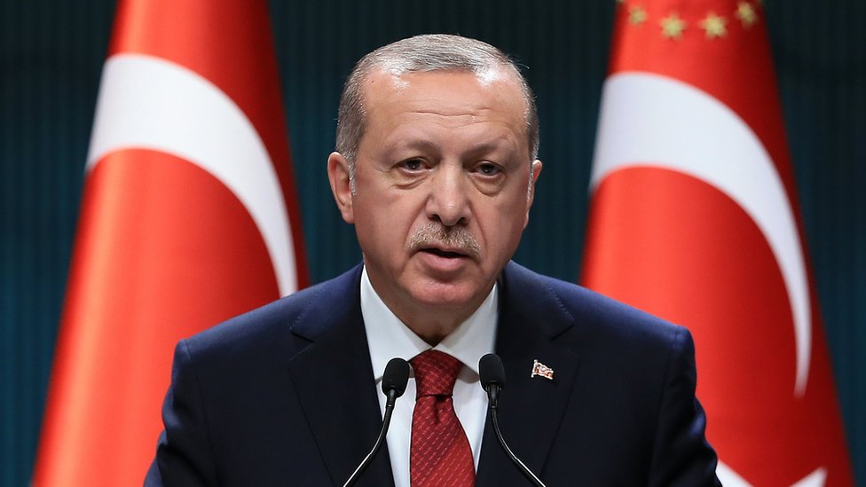 Redžep Tajip Erdogan, Turska