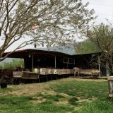 Farma magaraca: Tamo gde magarci uživaju i isceljuju 4