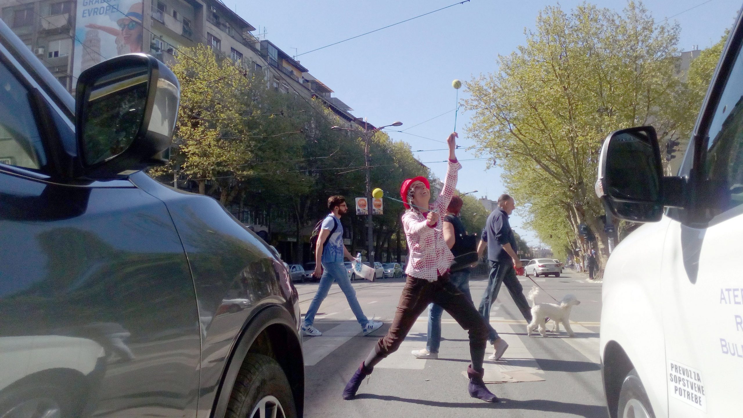 Arbernita iz Berlina popravlja raspoloženje Beograđana 1 Arbernita iz Berlina popravlja raspoloženje Beograđana 1