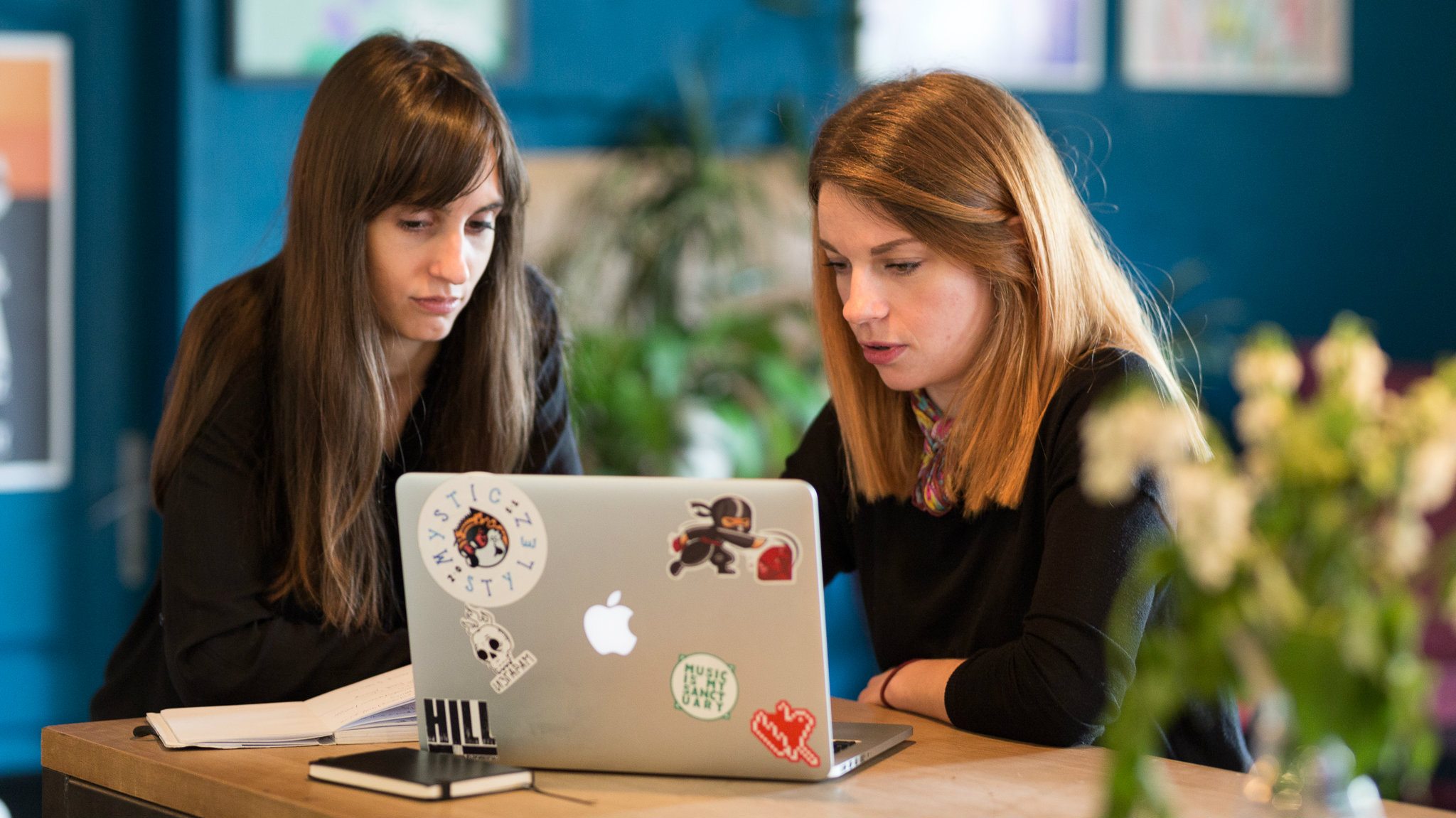 Napravile biznis od posredovanja 1