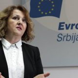 Grubješić: Makron, bez Nemačke, ne može sam da izvede reforme u EU 11