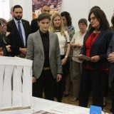 Brnabić: Timu "Pustinjske kuće" potrebna finansijska pomoć države 1