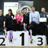 Prvo takmičenje u šišanju pasa 1