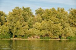 Veliko ratno ostrvo: Mesto početka vojne pobede (Video) 3