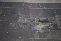 Avala: Avalit neznanom junaku 10