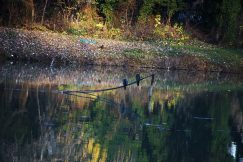 Ada Ciganlija: More na Savi 9