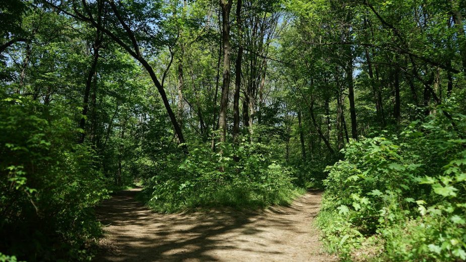 Ministarstvo apeluje na građane da ne pale vatru 1