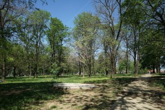 DSC06724 Zvezdarska šuma: Zagađuju mesto u kojem uživaju 2