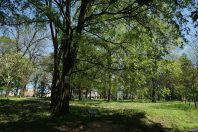 DSC06728 Zvezdarska šuma: Zagađuju mesto u kojem uživaju 5