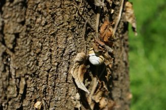 DSC06754 Zvezdarska šuma: Zagađuju mesto u kojem uživaju 10