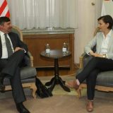 Brnabić uputila snažan protest Palmeru zbog hapšenja Đurića 12