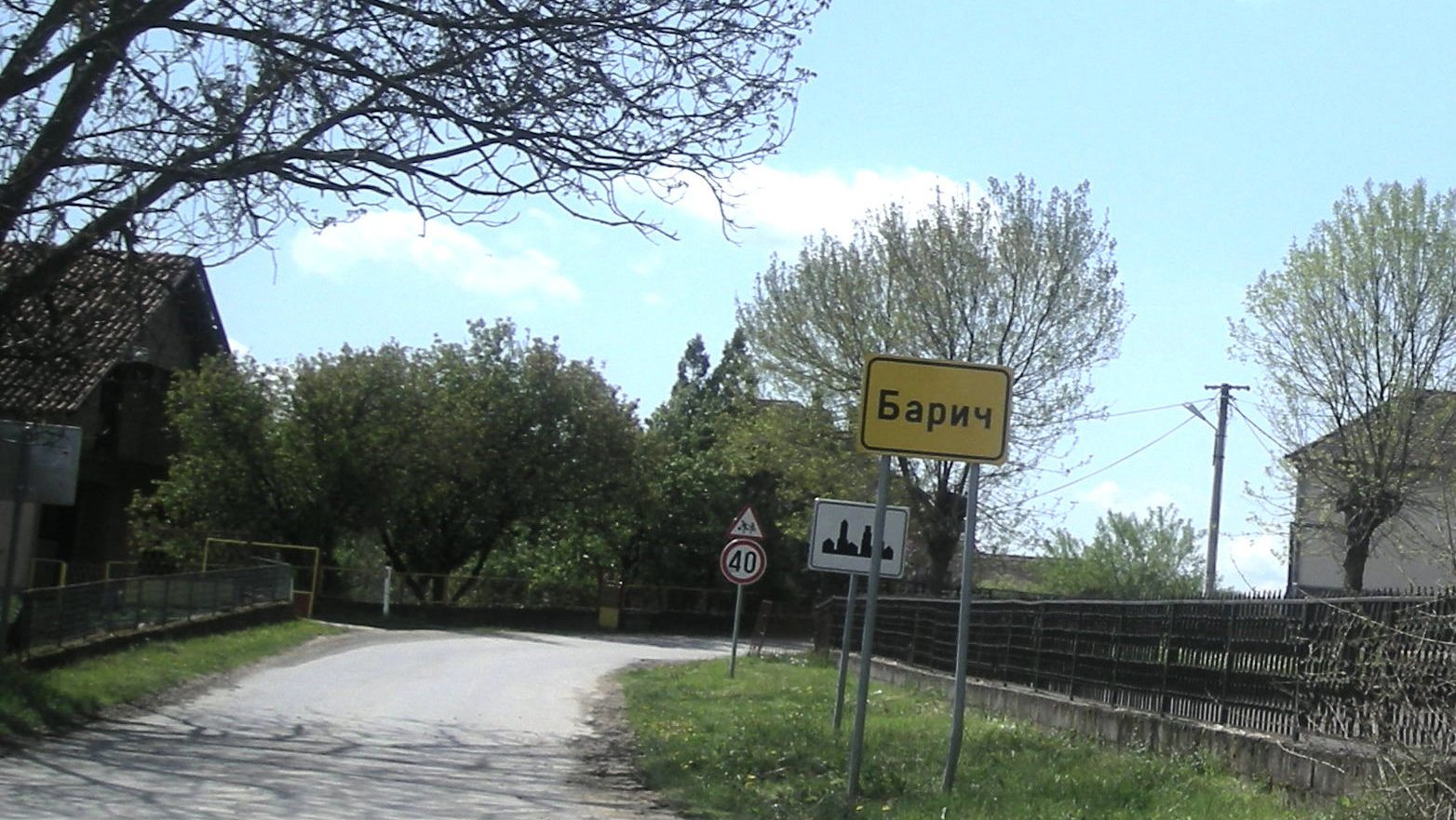 Nastradao u seči drva 1