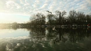 Ada Ciganlija: More na Savi 10