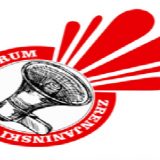 Zrenjaninski socijalni forum: Sprečiti nasilje u Vojvodini 7