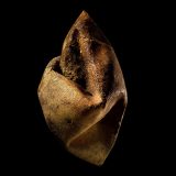 Lopte - kao da su devojke 6