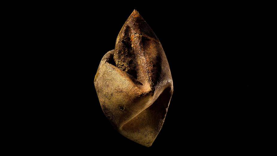 Lopte - kao da su devojke 1 Lopte - kao da su devojke 1