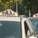 U Vranju taksi usluge poskupele za 30 odsto 19