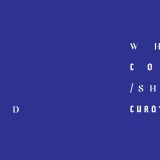 Šta kustosiranje može i treba da bude? 5