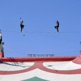 Obeležen Svetski dan cirkusa (VIDEO) 7