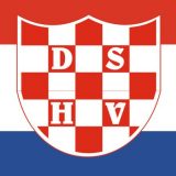 DSHV: Prvo promeniti Ustav pa tek manjnske zakone 8