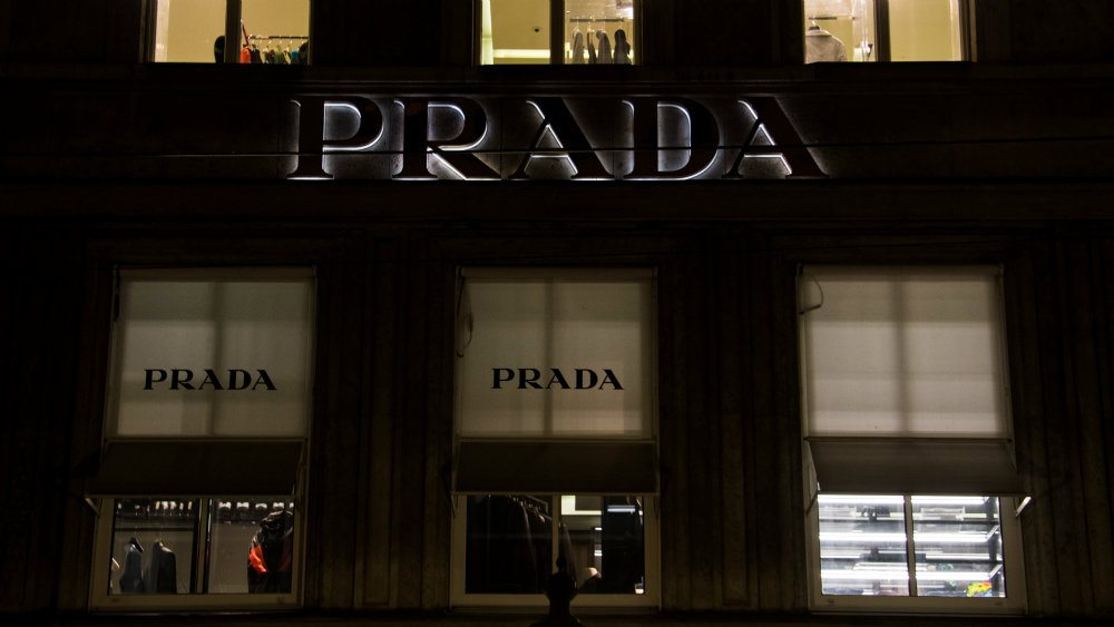 Prada na sudu zbog krokodila? 1