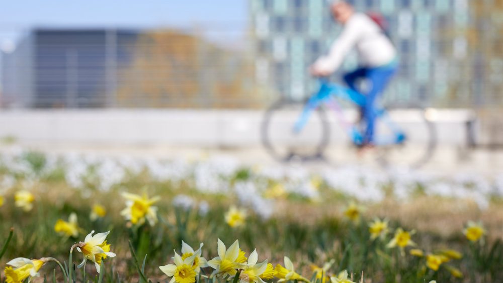 Građani Srbije najviše traže državljanstva Nemačke, Italije i Francuske 1