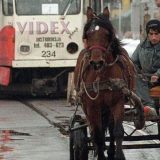 Stupanjem u maloletničke brakove nema izlaska iz siromaštva 2