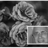 Preminuo Branislav Pokrajac 1