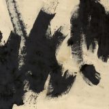 Opčinjenost formom slobode 9