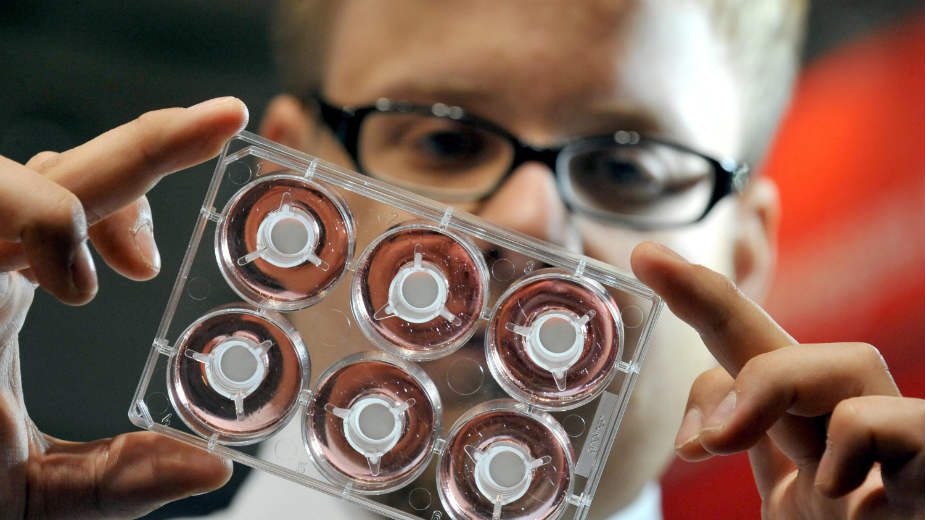 U Srbiji se godišnje započne oko 100 studija, u zemljama EU i do 4.000 1