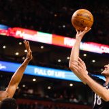 Brejk Jute, Bjelica dobar 12