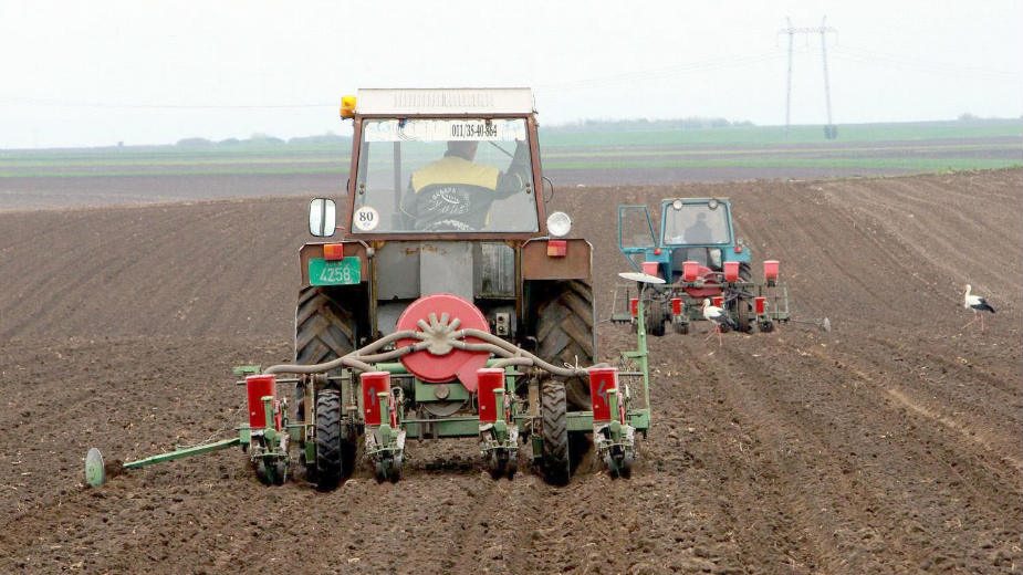 Licitacije državnog poljoprivrednog zemljišta u Zrenjaninu opet kasne 1