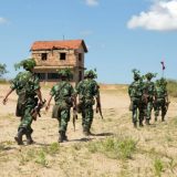 Vojne vežbe na Peskovima 4