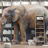 Kako čitamo reči? 1