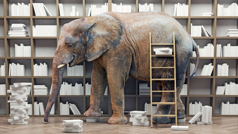 Kako čitamo reči? 1