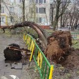 Nevreme u Moskvi: Povređeno 17 osoba, dvoje poginulo (VIDEO) 7