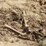 U Đakovici pronađeni ljudski ostaci 7