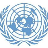 Prijave za seksualno zlostavljanje u okviru sistema UN 6