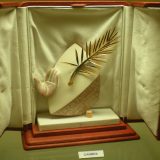 Kanski festival bez Fon Trira, Sorentina, Malika... 14