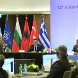 Vulin licemerjem vređa inteligenciju građana 15